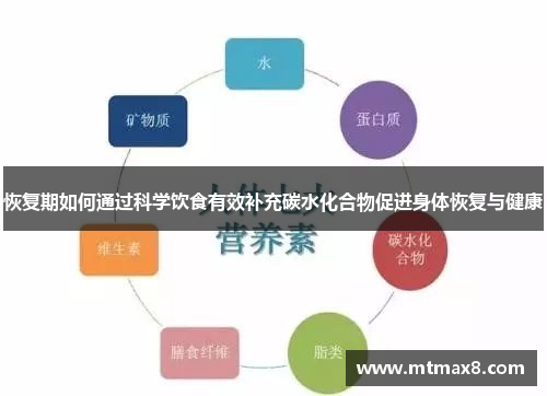 恢复期如何通过科学饮食有效补充碳水化合物促进身体恢复与健康